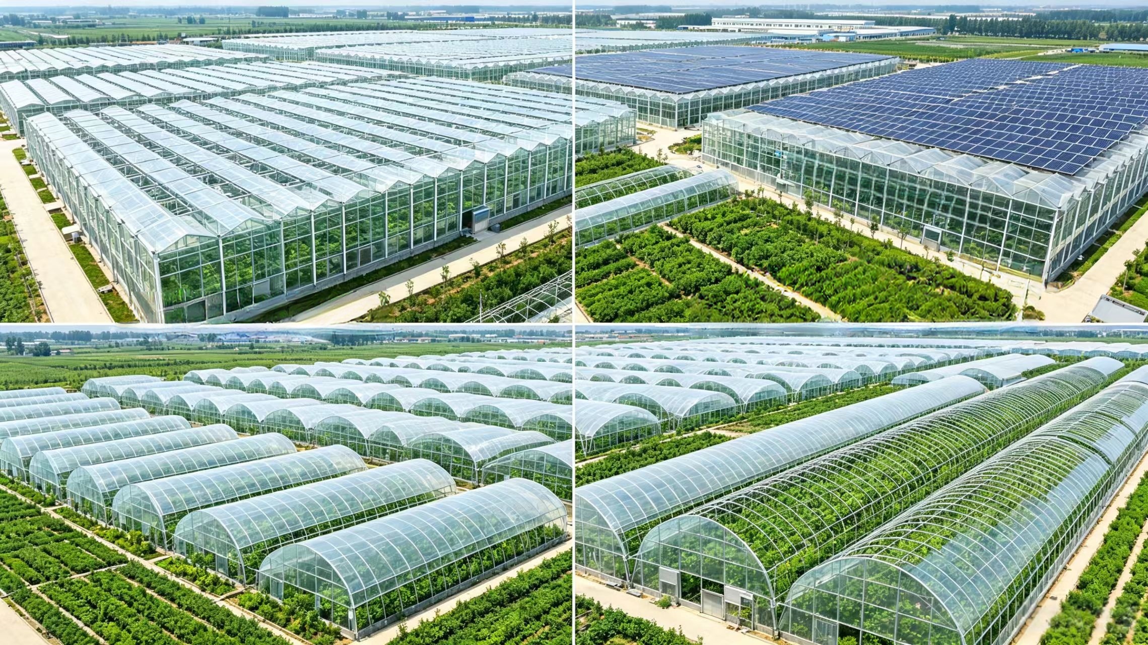 海外温室工程_完工连栋实景
