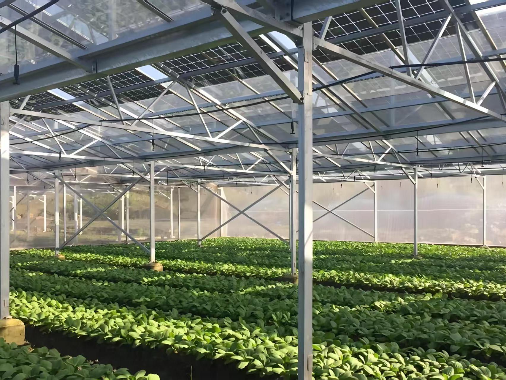 棚内种植智能设备配套实拍