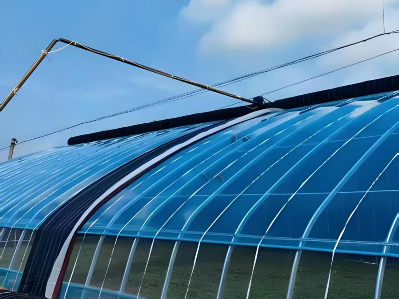 冬暖棚内部种植实景