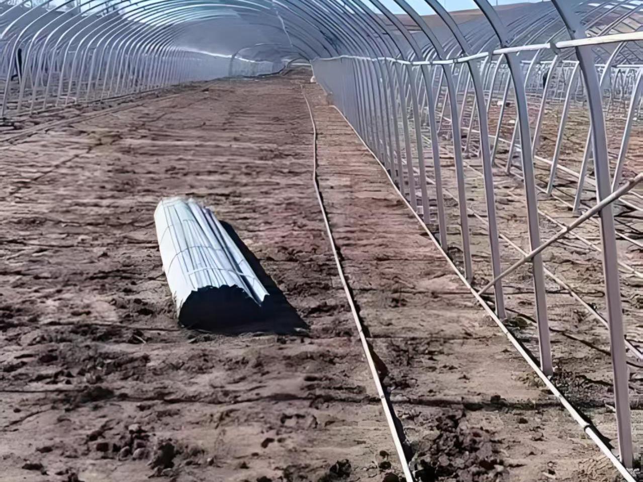 冷棚骨架完工实拍