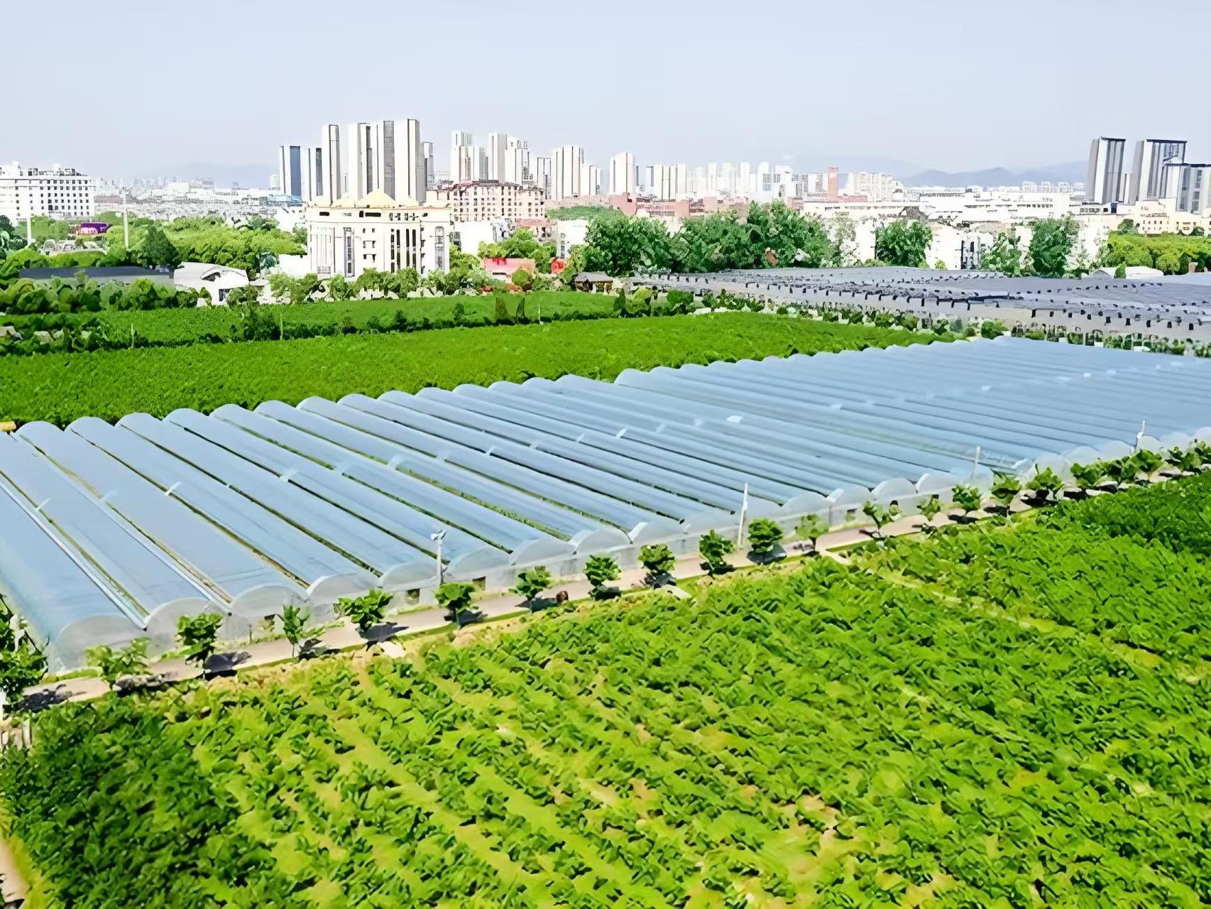 连片药材示范基地航拍图
