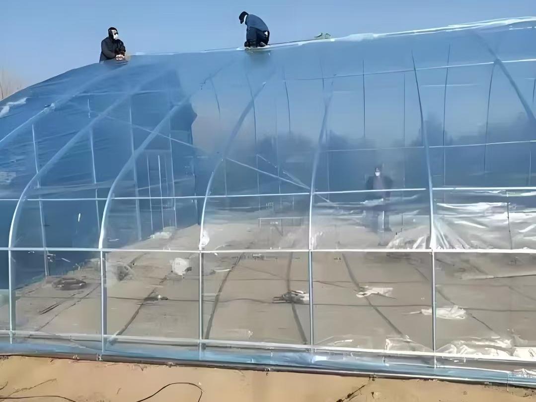 冷棚春秋棚骨架_完工单体冷棚全景