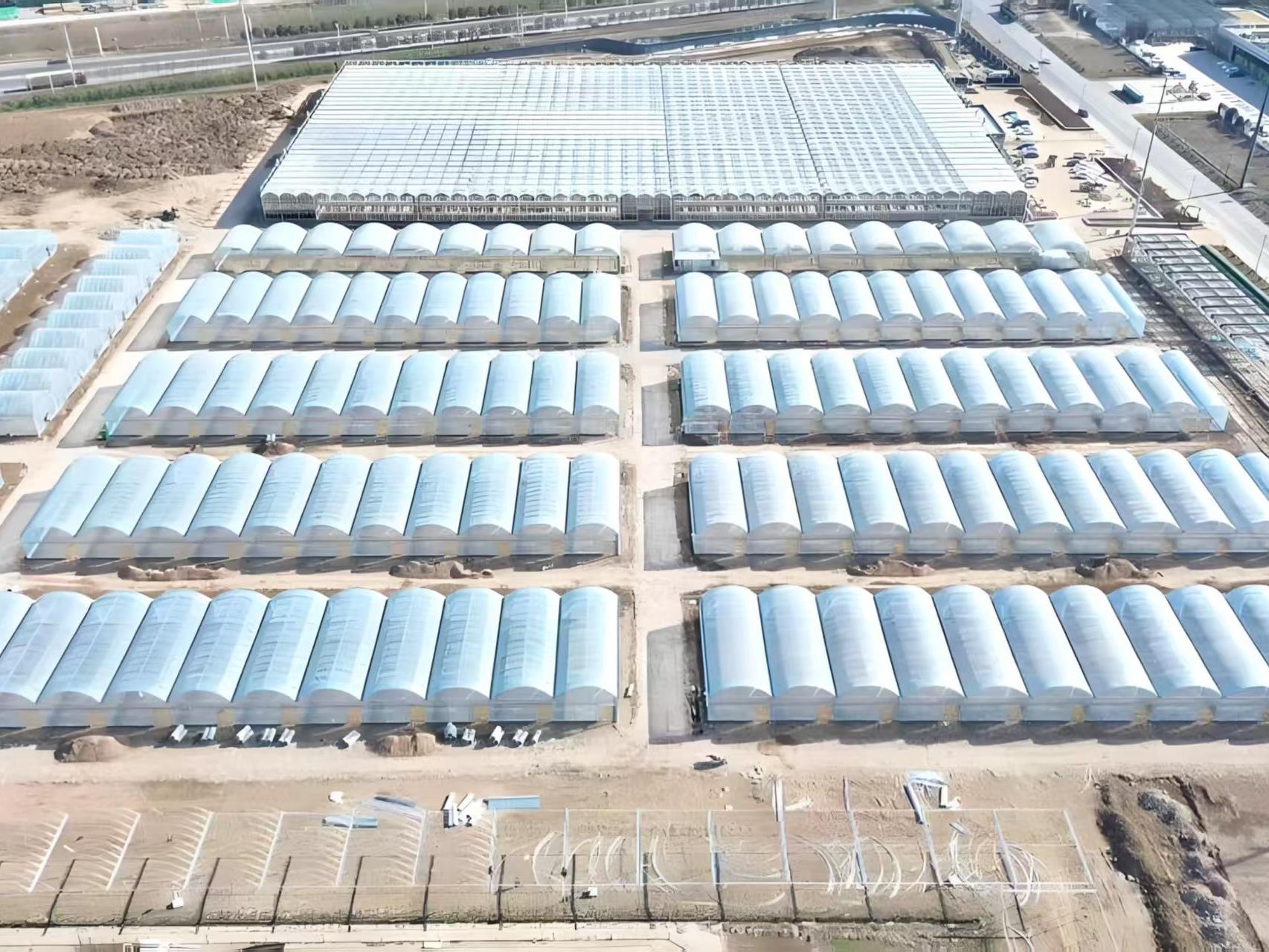 规模化育苗基地航拍图