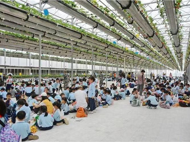 科普温室研学教学实景