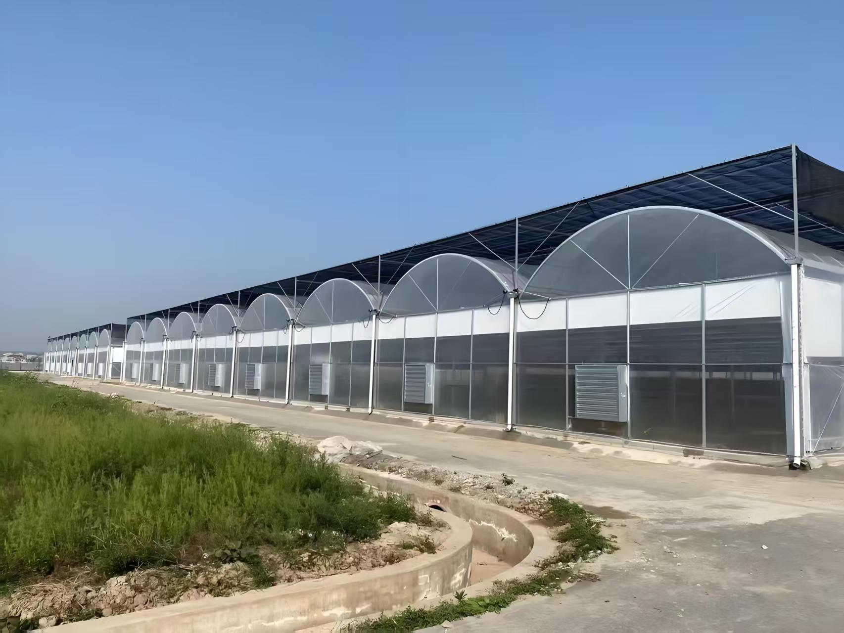 连栋温室骨架_薄膜连栋完工全景