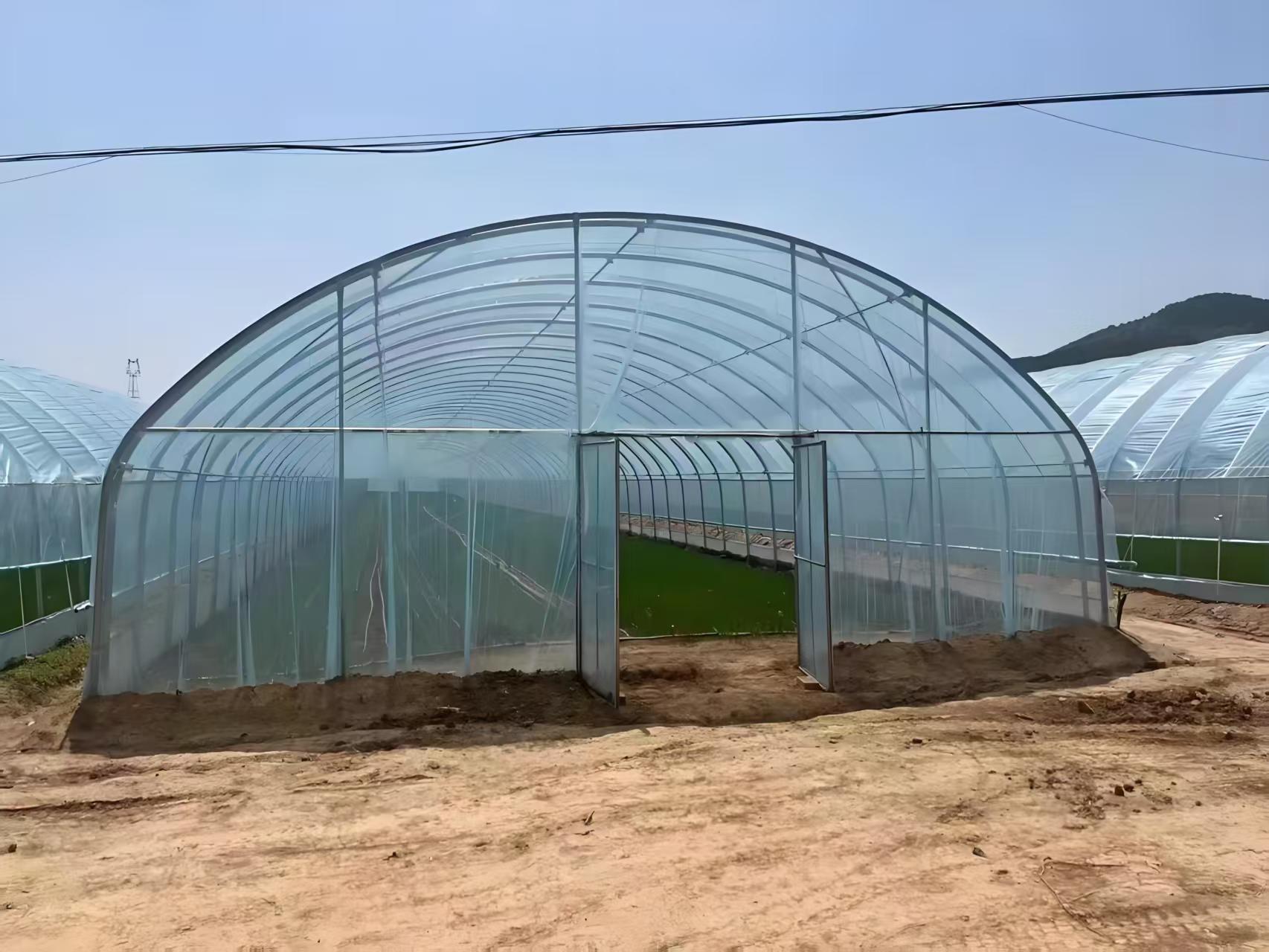 冷棚春秋棚骨架_简易棚架搭建局部