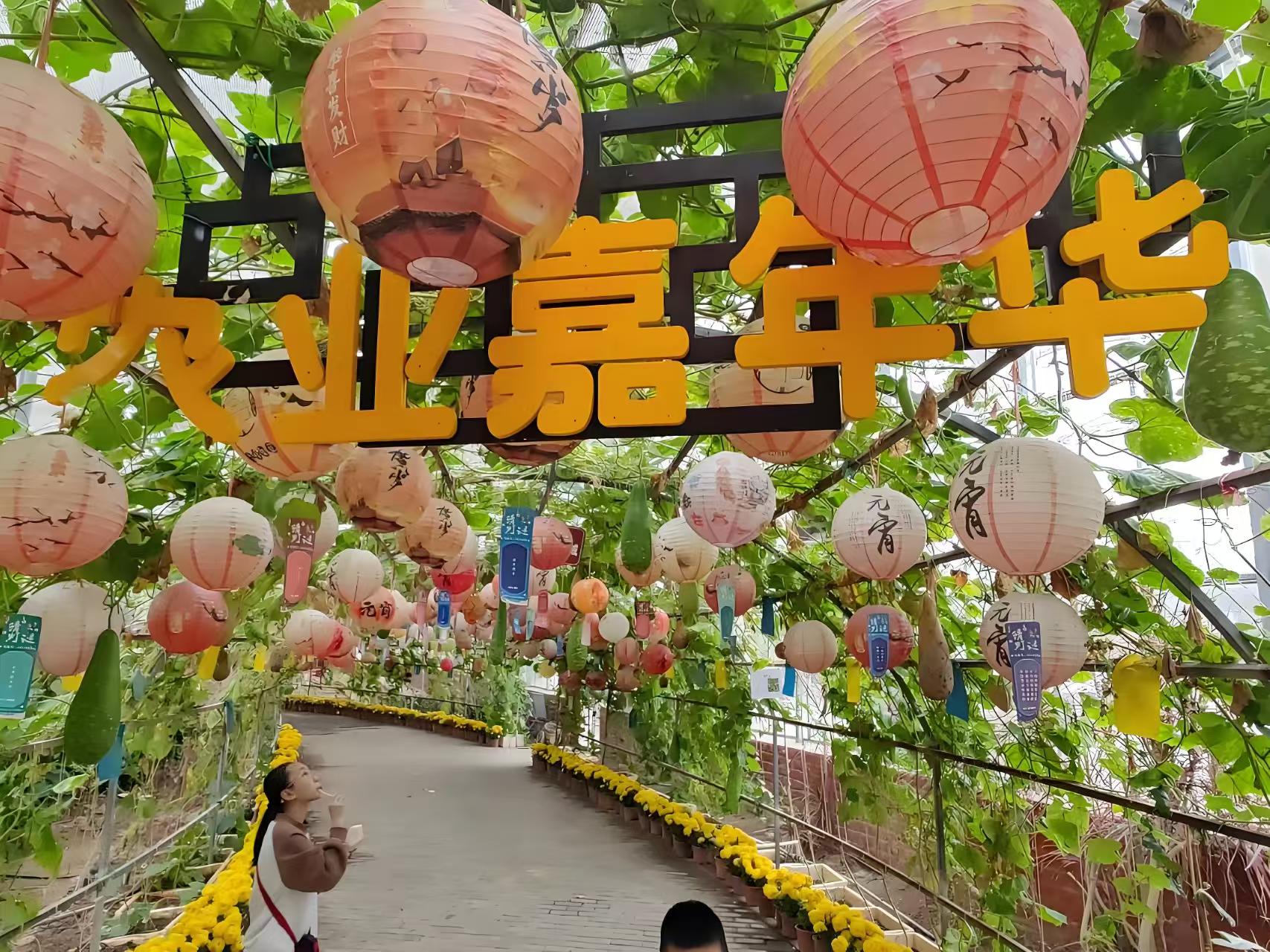采摘游乐配套片区实景