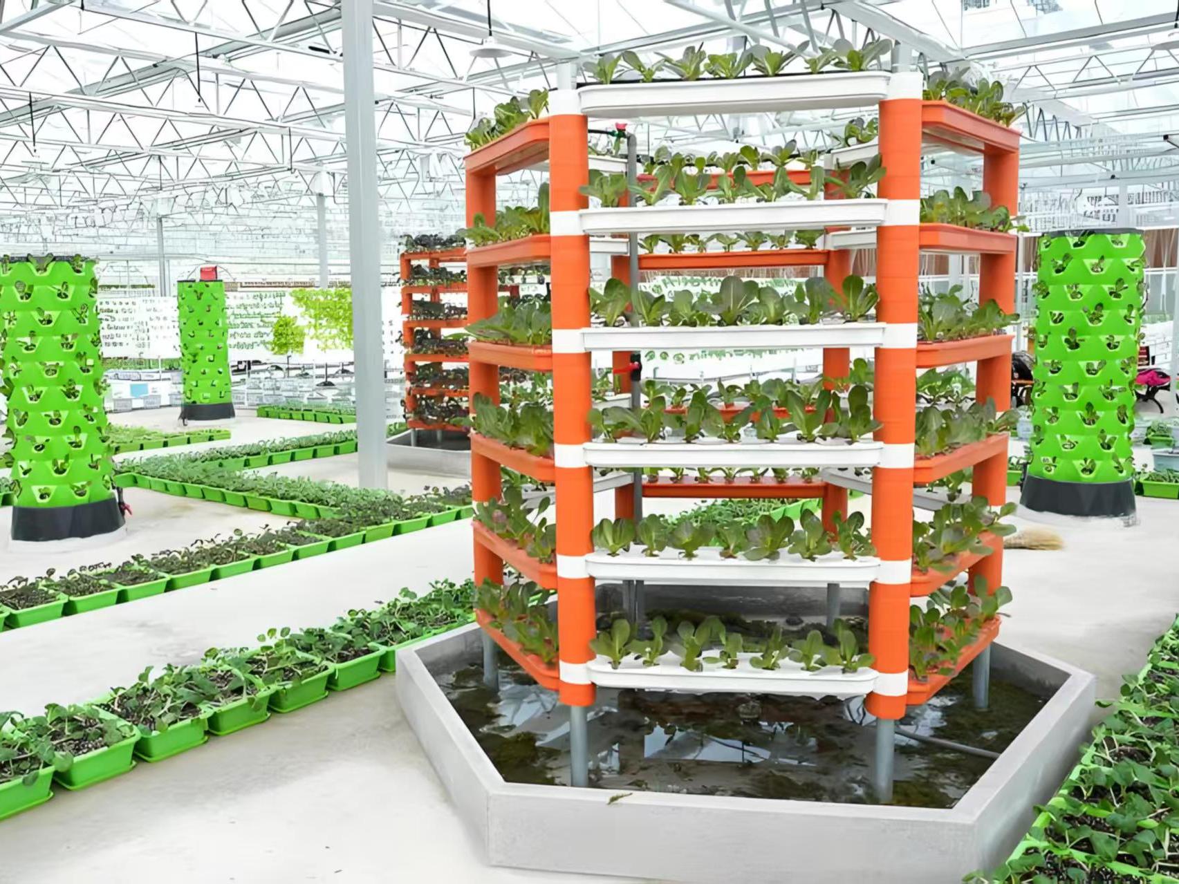 内部作物种植实拍