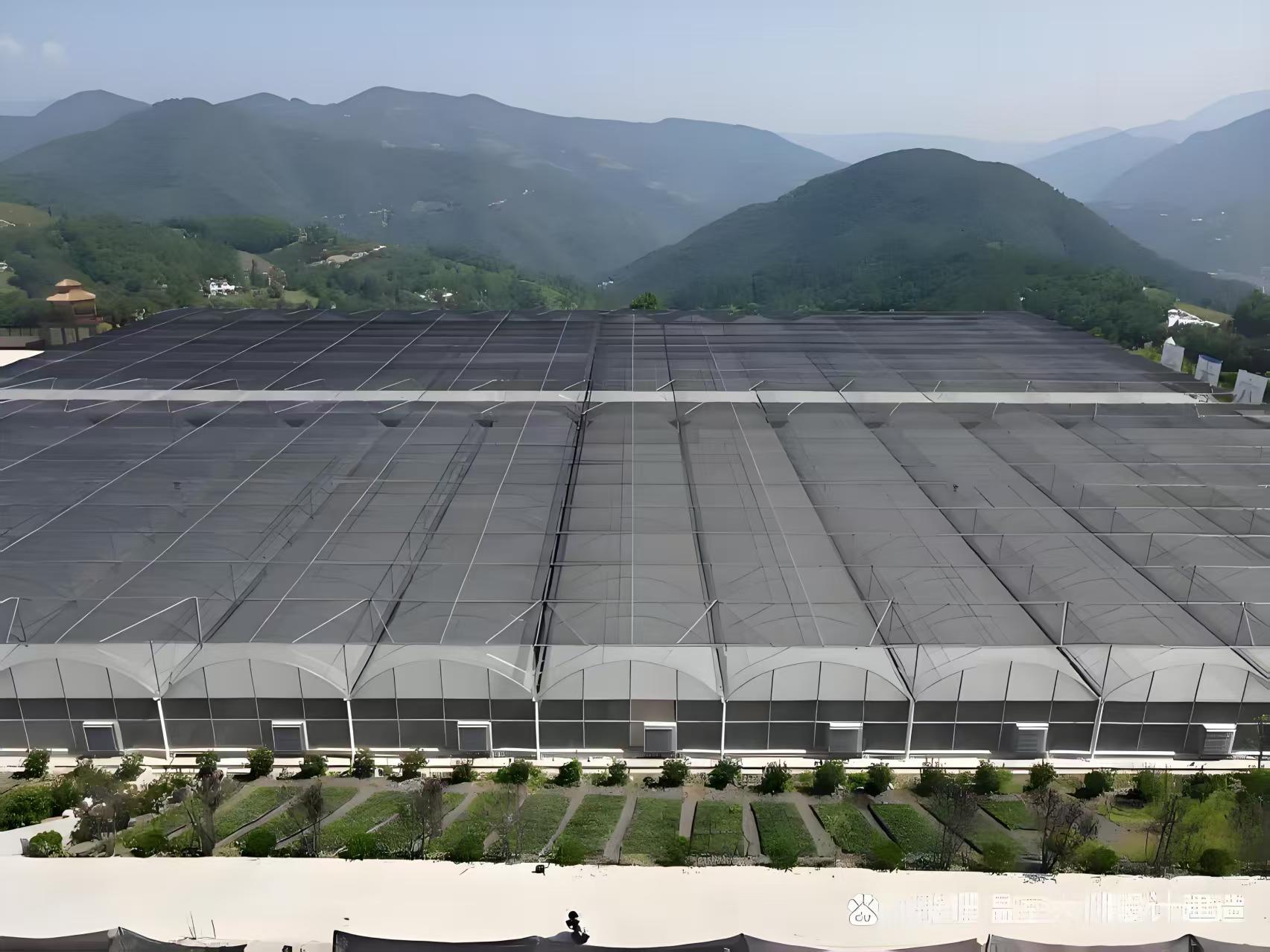 连片规模化基地航拍图