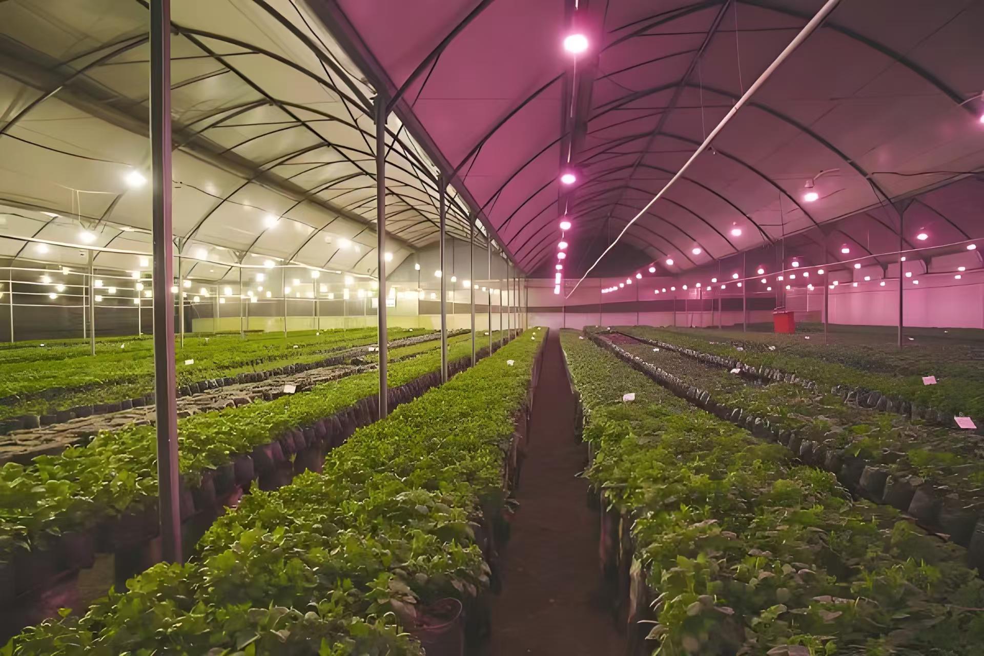 温控补光光伏辅材板块_LED植物补光灯具套装