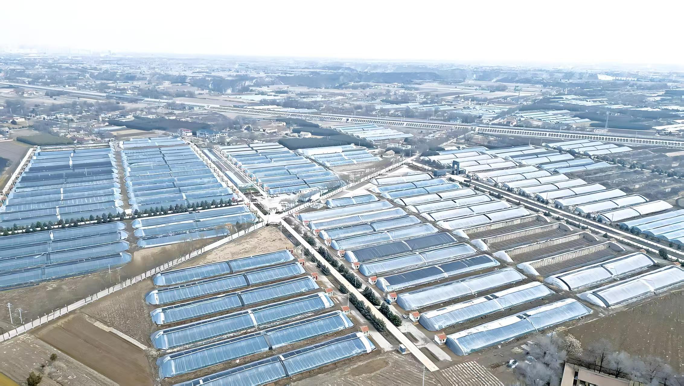 内蒙古规模化大棚基地完工航拍